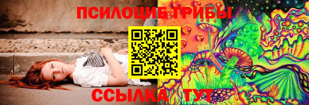 Галлюциногенные грибы GOLDEN TEACHER  где продают наркотики  Вход с VPN  Гусь-Хрустальный  Галлюциногенные грибы GOLDEN TEACHER 
